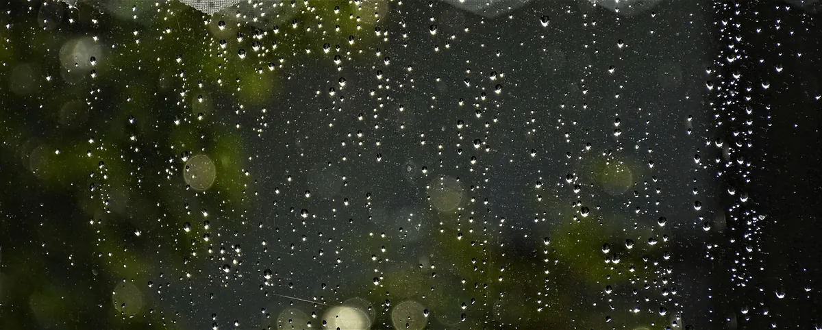 Explainer: Why Does My House Get Damp in Winter and How to Fix It?